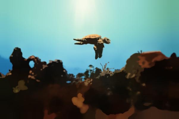 Colombia Country of Honor | Annecy Festival 2027 Animation