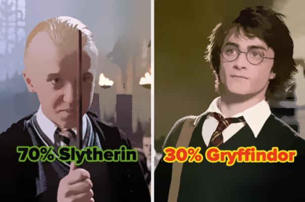 Hogwarts House Compass: Find Your Unique House Combination