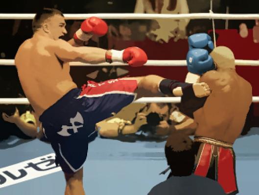 Peter Aerts Net Worth 2024: Kickboxing Legend's Fortune
