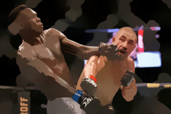 Robert Whittaker Net Worth 2024 | UFC Fighter Earnings