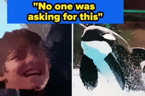 Free Willy Reboot Rumors Have Millennials Sobbing Over Nostalgia
